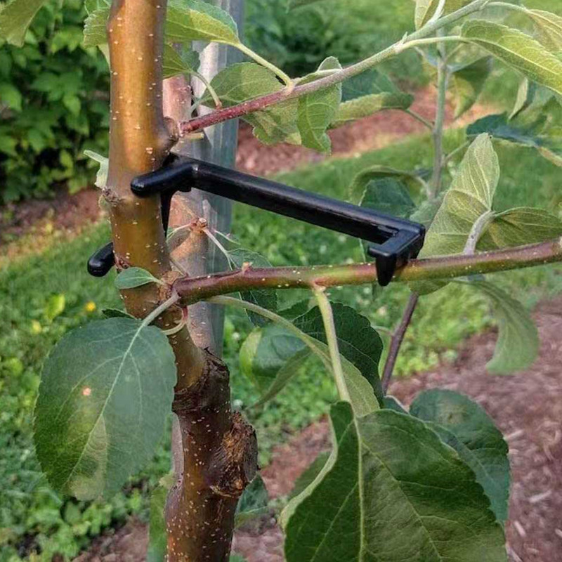 Fruit Roll Up - Fruit Tree Branch Puller Plant Vines