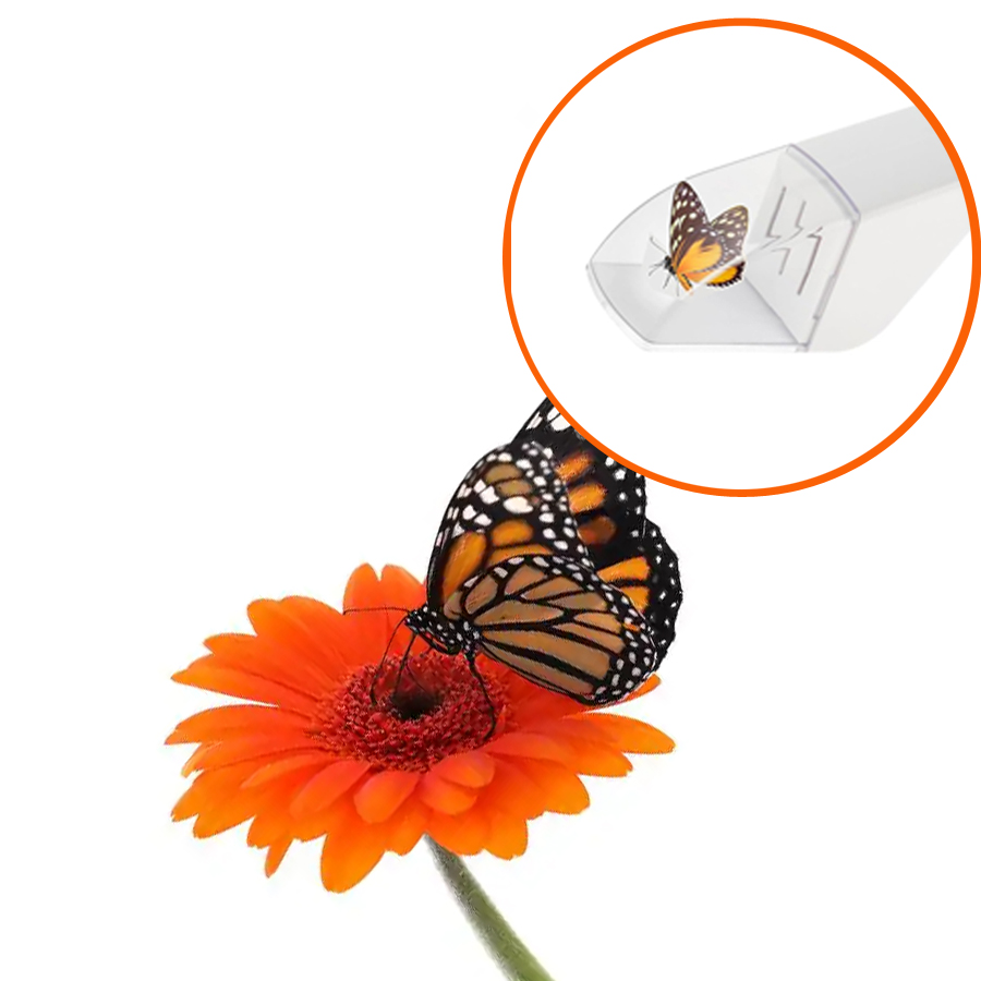 Fly Trap Insect Catcher Moth F - огляд і ціна Fruit Roll Up