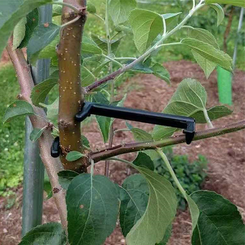 Fruit Tree Branch Puller Plant - огляд і ціна Fruit Roll Up