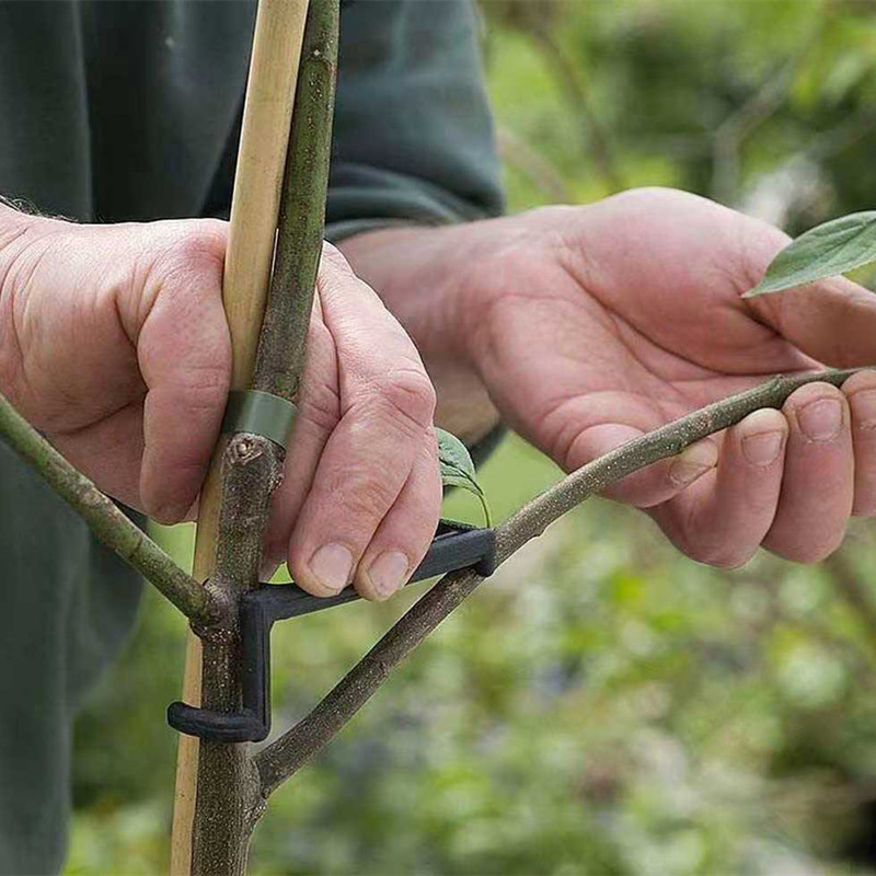Fruit Tree Branch Puller Plant - огляд і ціна Fruit Roll Up